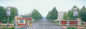 ব্রাউন সুগার ক্যাস 551-68-8 এমএসডিএসের জন্য নন জিএমও অ্যালুলোজ ন্যাচারাল সুইটেনারের বিকল্প